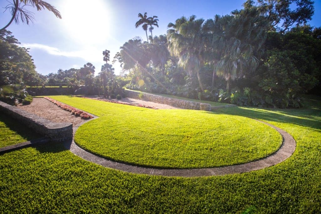 Liberty Hyde Bailey Palm Glade
