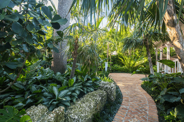 Tropical Pathways