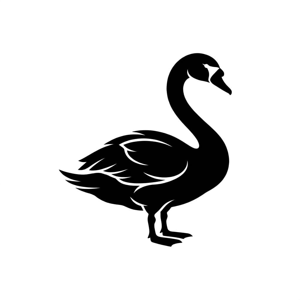 White Swan