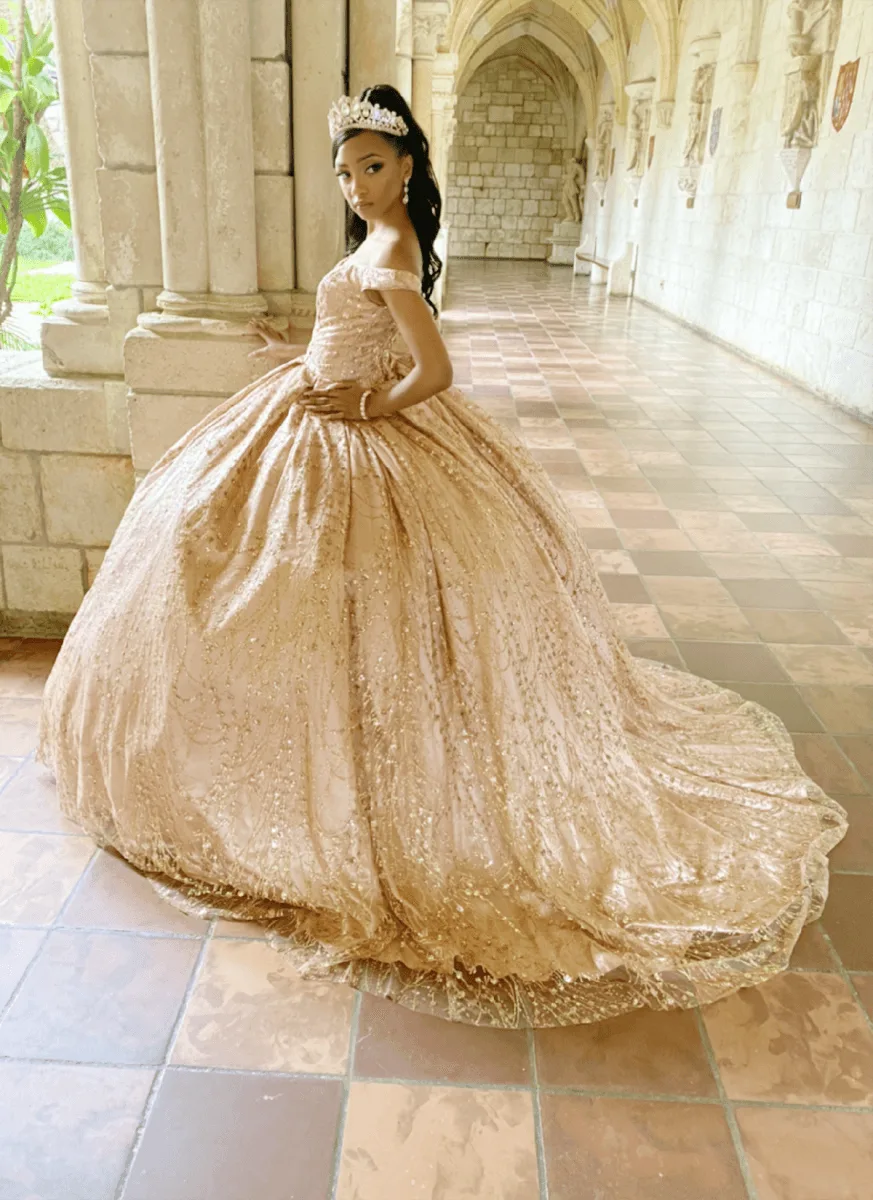 Quinceañera dress, in pink, ballgown style — Robi's Photo Studio, Miami