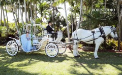 robi-photo-quinceanera-59