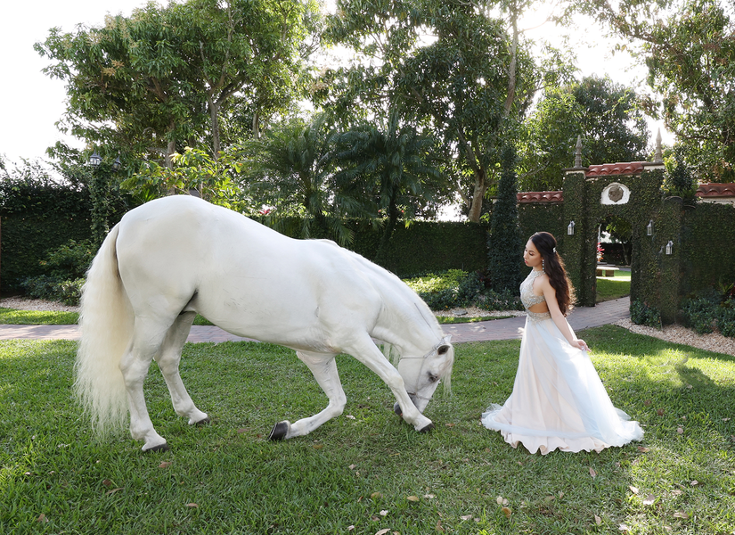 Villa Toscana White Horse